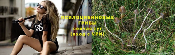 ешки Алексеевка