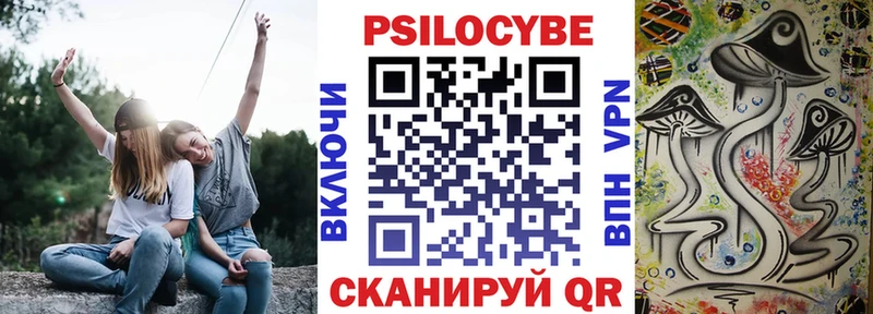 Псилоцибиновые грибы Psilocybine cubensis  купить   Полысаево 